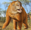 avatar_Old Wombat